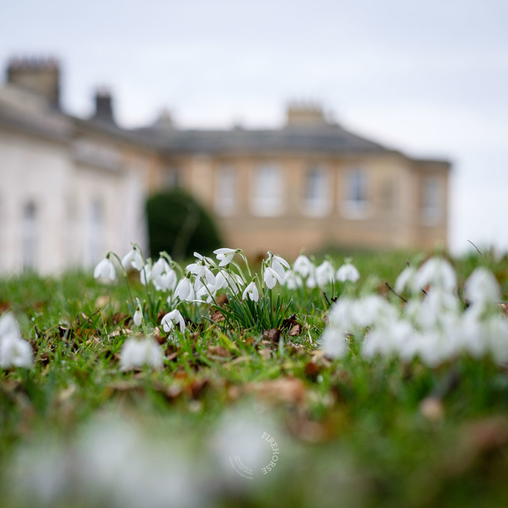 Rudding-Park-Wedding003