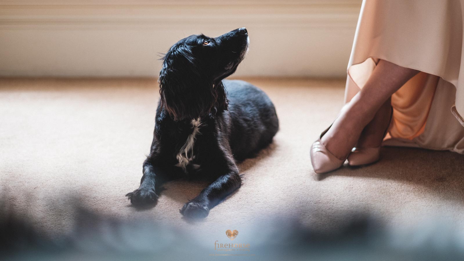 Swinton-Park-Elopement--11