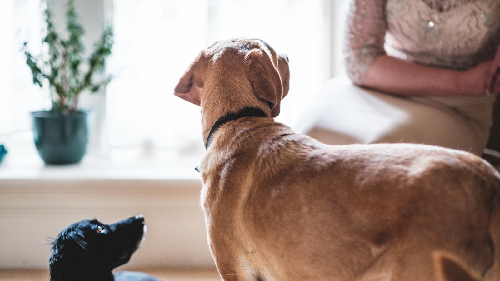 Swinton-Park-Elopement--12