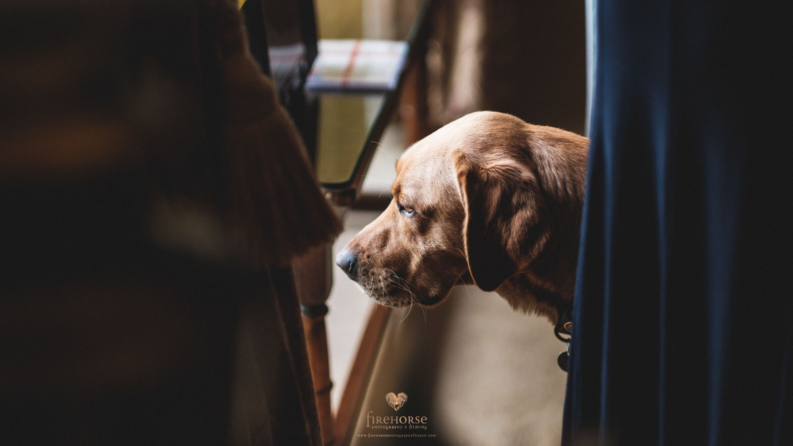 Swinton-Park-Elopement--20