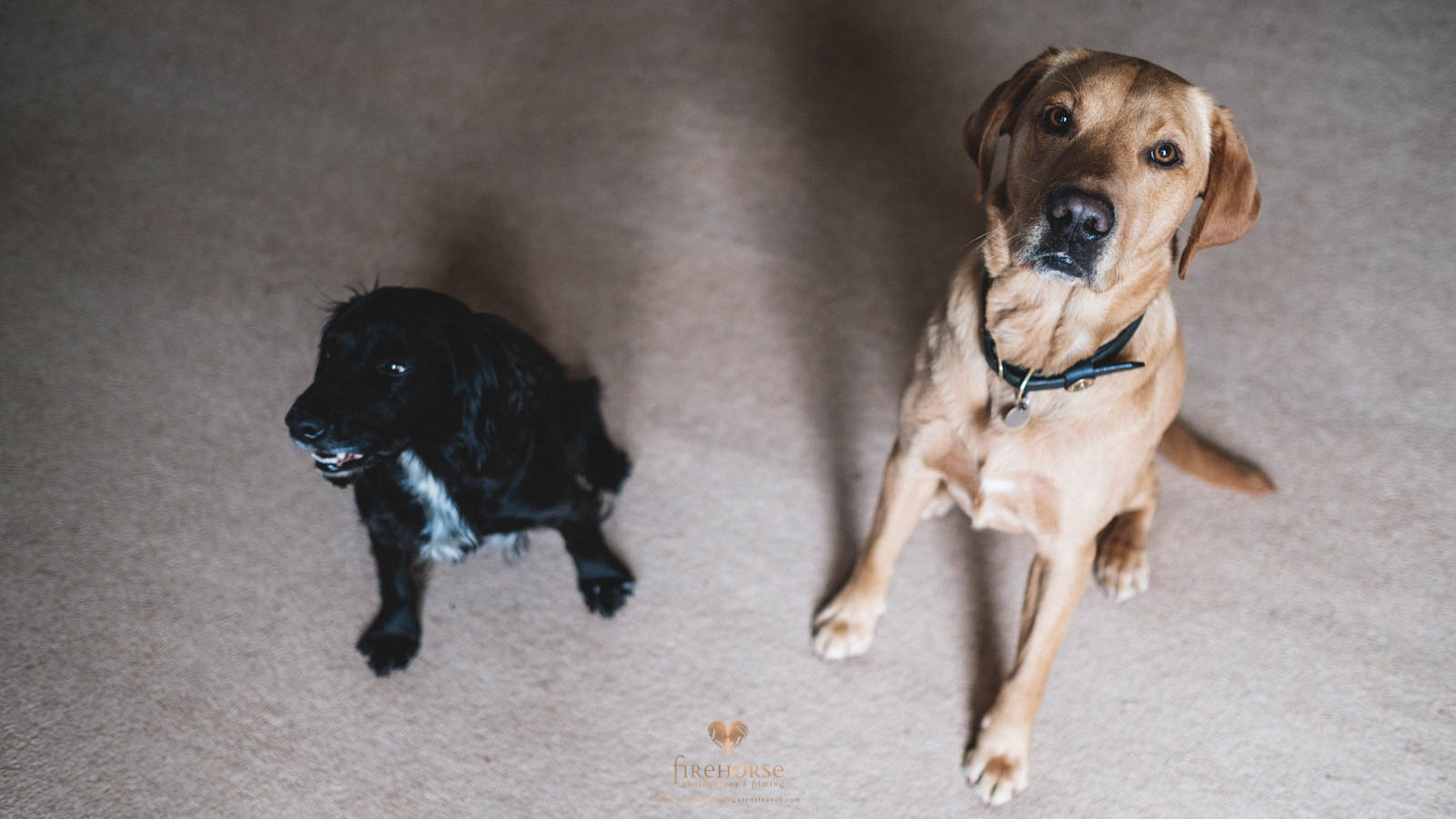 Swinton-Park-Elopement--3