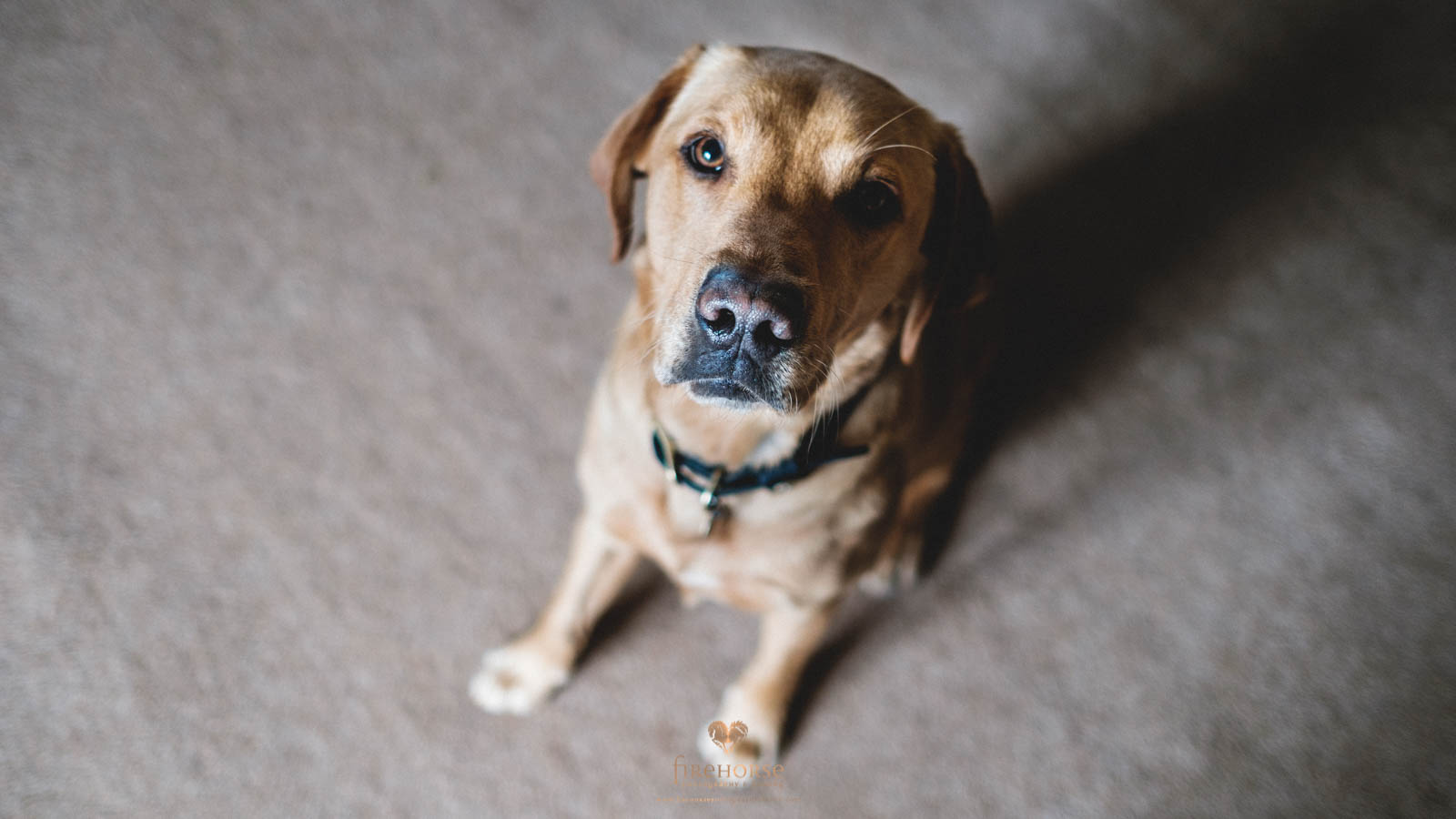 Swinton-Park-Elopement--4