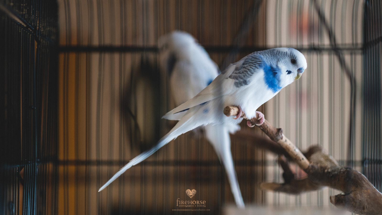 Harrogate-Wedding-007